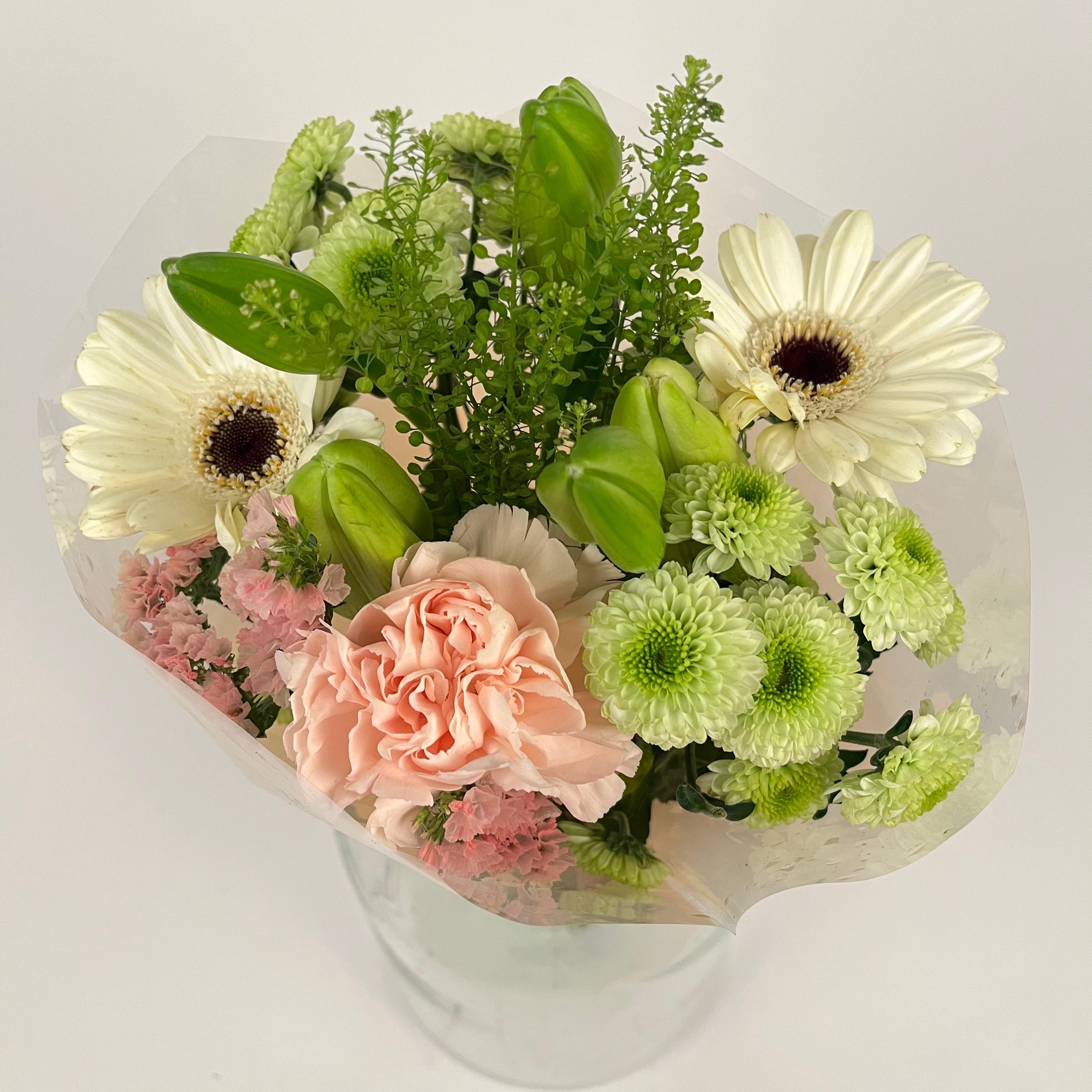 Срезанные цветы оптом Bq Volume Voltage Salmon S от 6шт из Голландии с доставкой по России