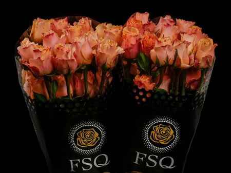 Срезанные цветы оптом Rosa ec carpe diem от 60шт из Голландии с доставкой по России