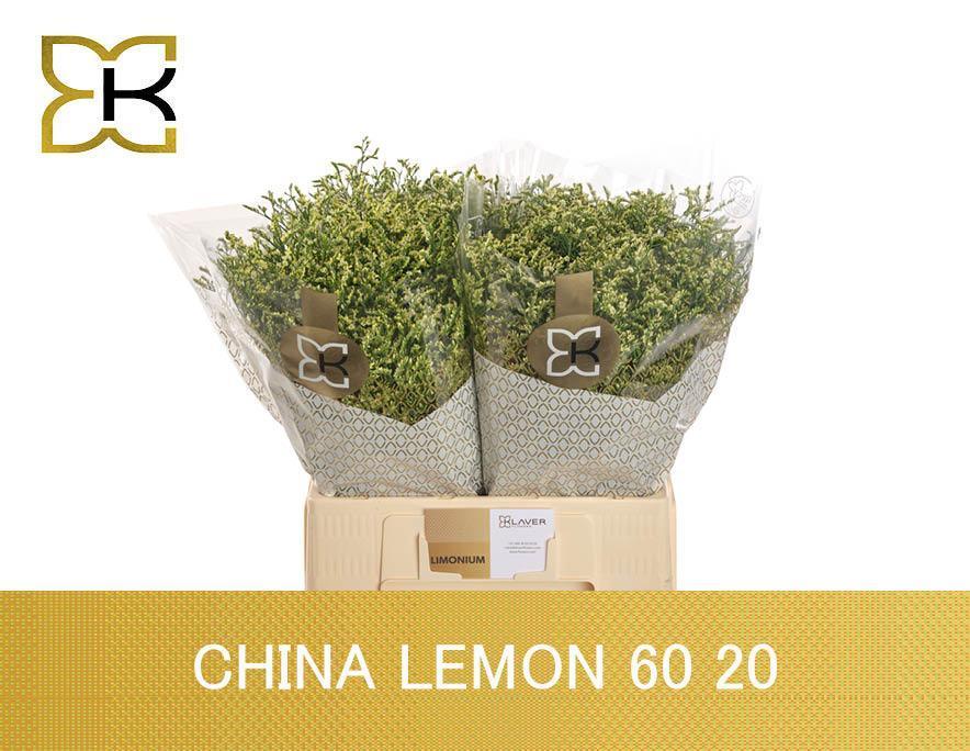 Срезанные цветы оптом Limonium china lemon от 100шт. из Голландии с доставкой по России