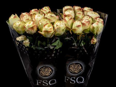 Срезанные цветы оптом Rosa ec khela dark от 40шт из Голландии с доставкой по России