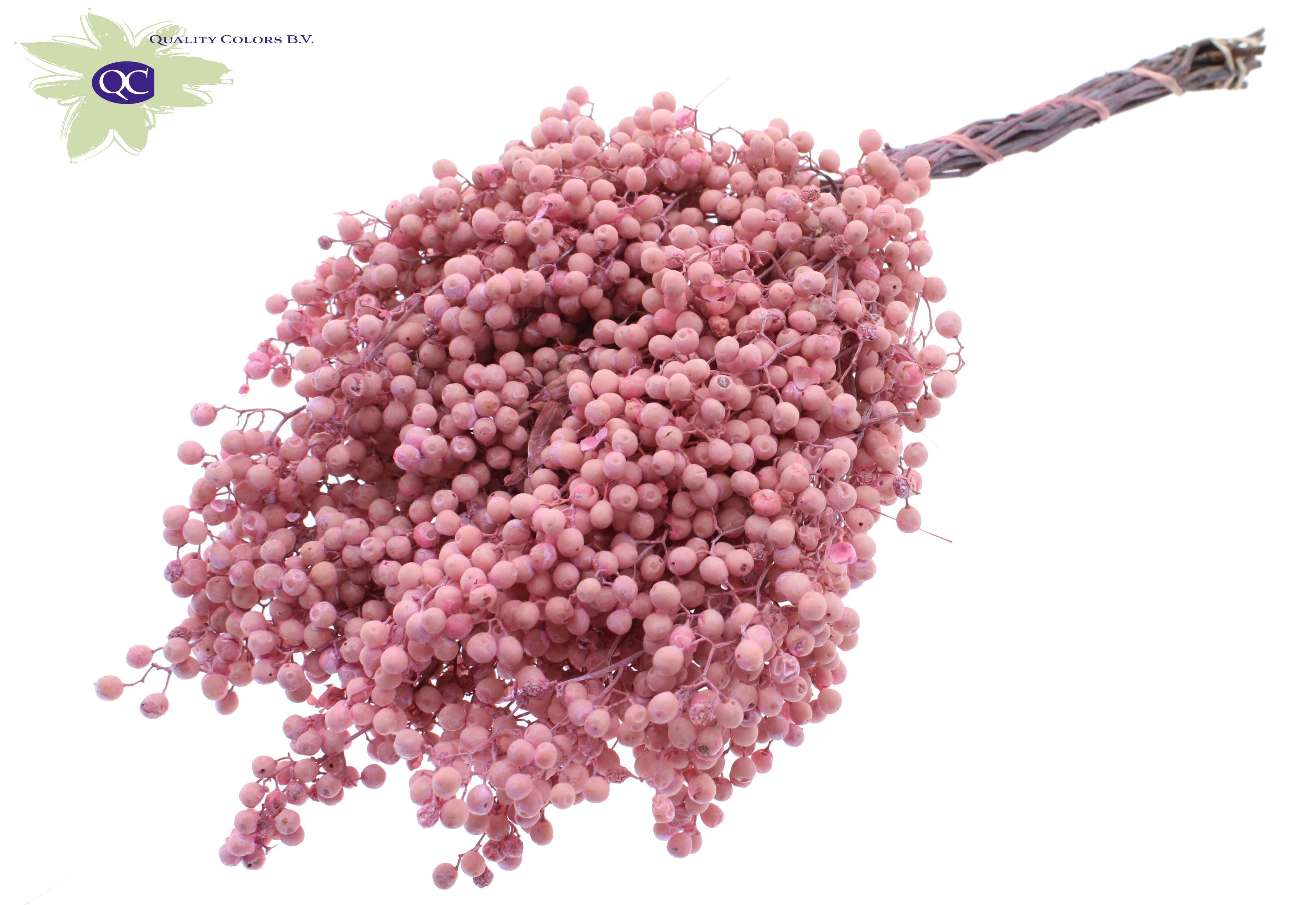 Срезанные цветы оптом Pepperberries per bunch in poly pink от 5шт из Голландии с доставкой по России