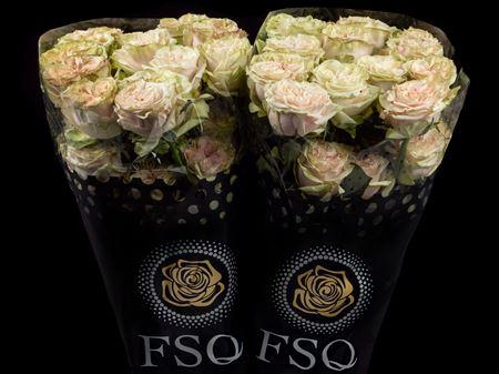 Срезанные цветы оптом Rosa ec country secret от 50шт. из Голландии с доставкой по России