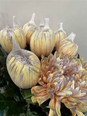Срезанные цветы оптом Chrys bl paint antonov aruba от 40шт из Голландии с доставкой по России