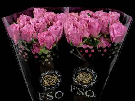 Срезанные цветы оптом Rosa ec scandal от 40шт из Голландии с доставкой по России