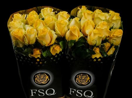 Срезанные цветы оптом Rosa ec tara от 40шт. из Голландии с доставкой по России