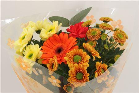 Срезанные цветы оптом Bouquet 5-7 stem orange от 10шт из Голландии с доставкой по России