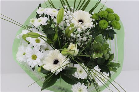 Срезанные цветы оптом Bouquet supra white от 5шт из Голландии с доставкой по России