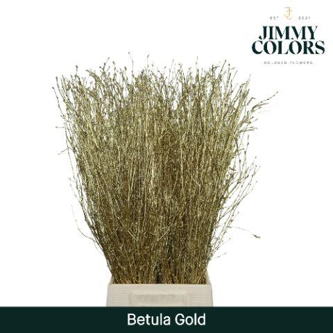 Срезанные цветы оптом Betula paint gold от 10шт из Голландии с доставкой по России