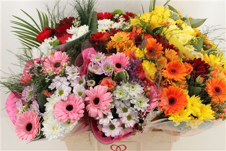 Срезанные цветы оптом Bouquet 15 stem mix in bucket от 8шт из Голландии с доставкой по России
