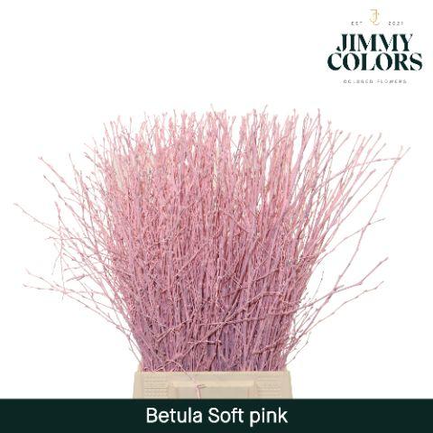 Срезанные цветы оптом Betula paint pink light от 20шт из Голландии с доставкой по России