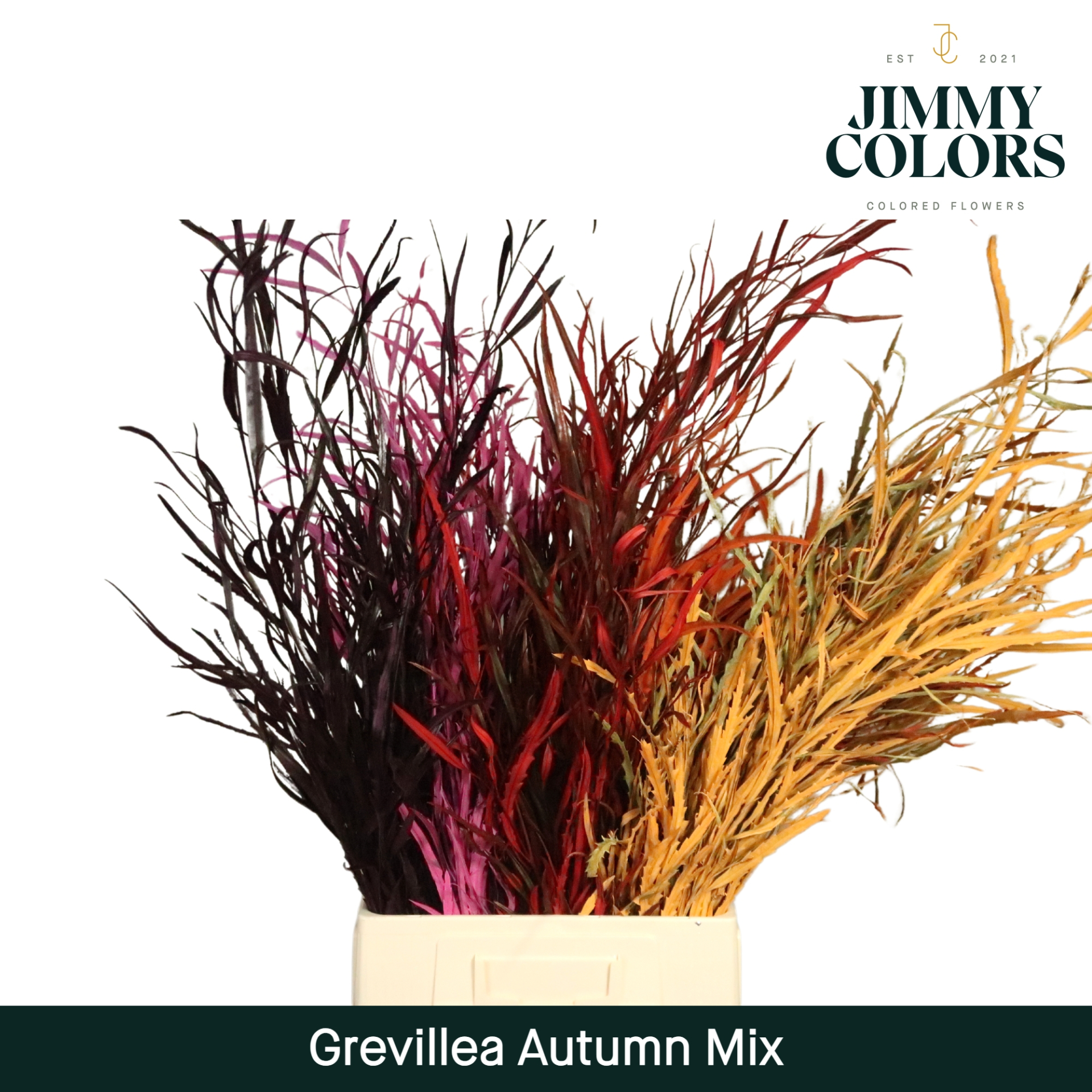 Срезанные цветы оптом Grevillea paint mix autumn от 10шт из Голландии с доставкой по России