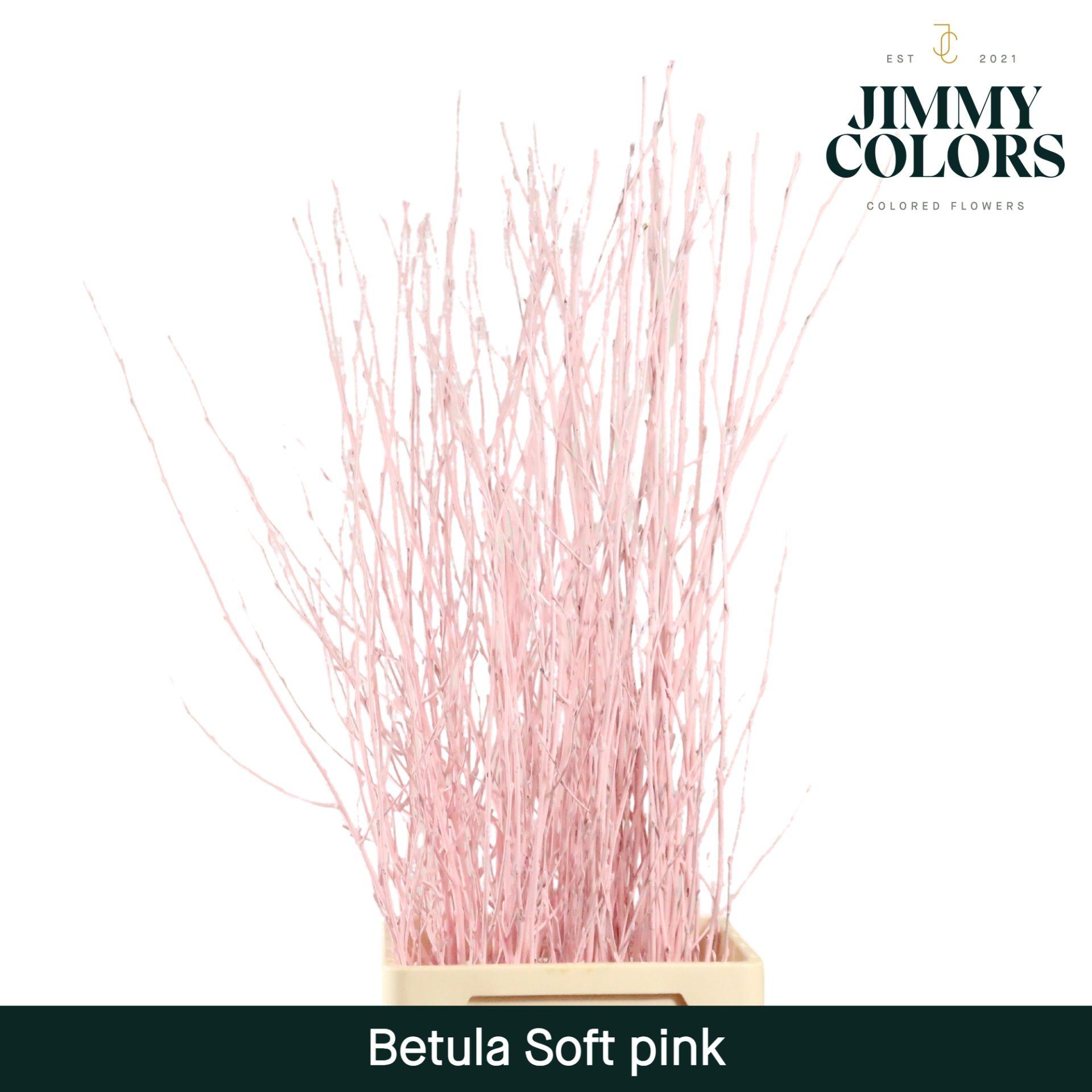 Срезанные цветы оптом Betula paint pink light от 10шт из Голландии с доставкой по России