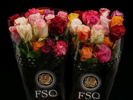 Срезанные цветы оптом Rosa ec mix season от 100шт из Голландии с доставкой по России