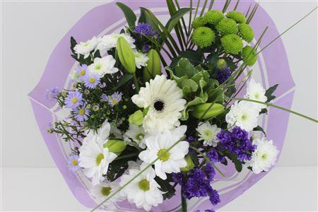 Срезанные цветы оптом Bouquet supra blue от 5шт из Голландии с доставкой по России