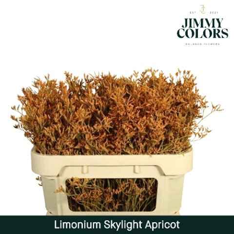 Срезанные цветы оптом Limonium skylight paint apricot от 75шт из Голландии с доставкой по России