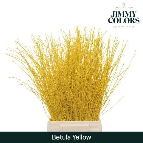 Срезанные цветы оптом Betula paint yellow от 10шт из Голландии с доставкой по России
