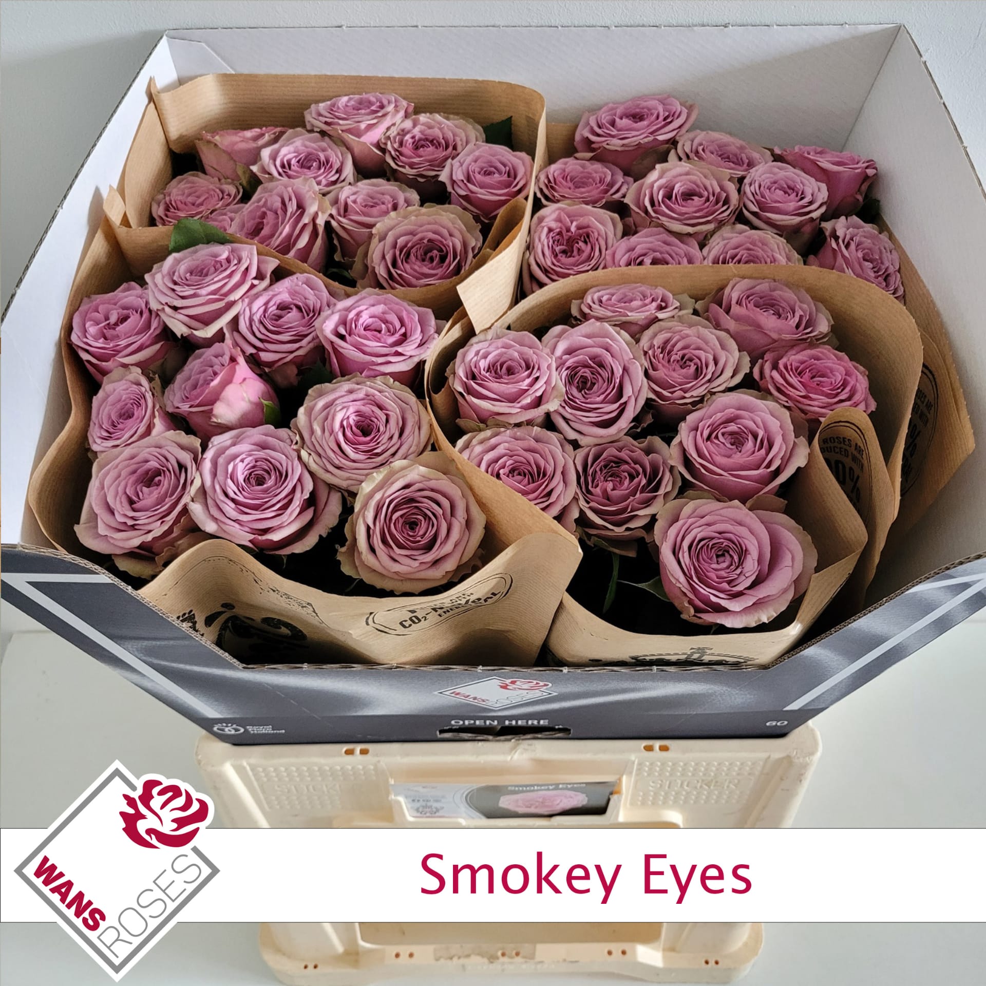 Срезанные цветы оптом Rosa large smokey eyes от 40шт из Голландии с доставкой по России