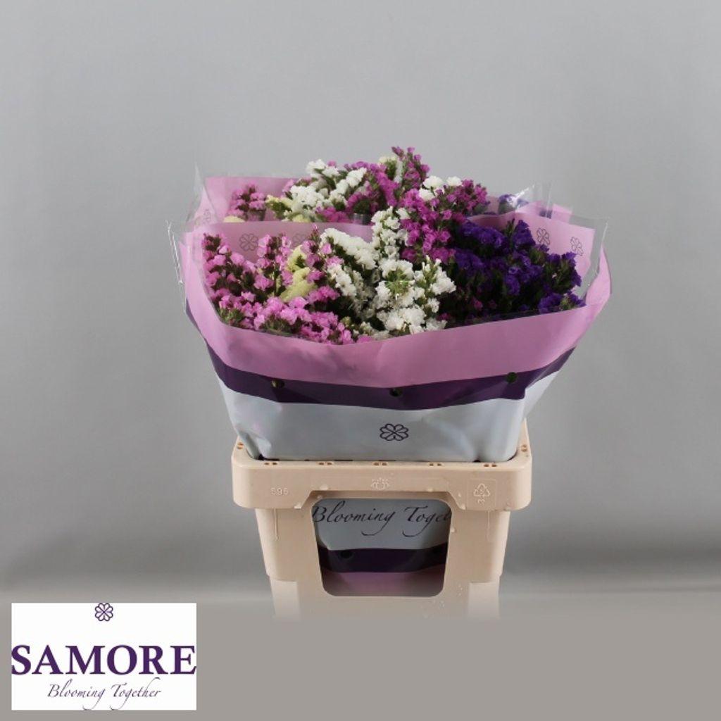 Срезанные цветы оптом Statice rainbow (mixbunch) от 50шт из Голландии с доставкой по России