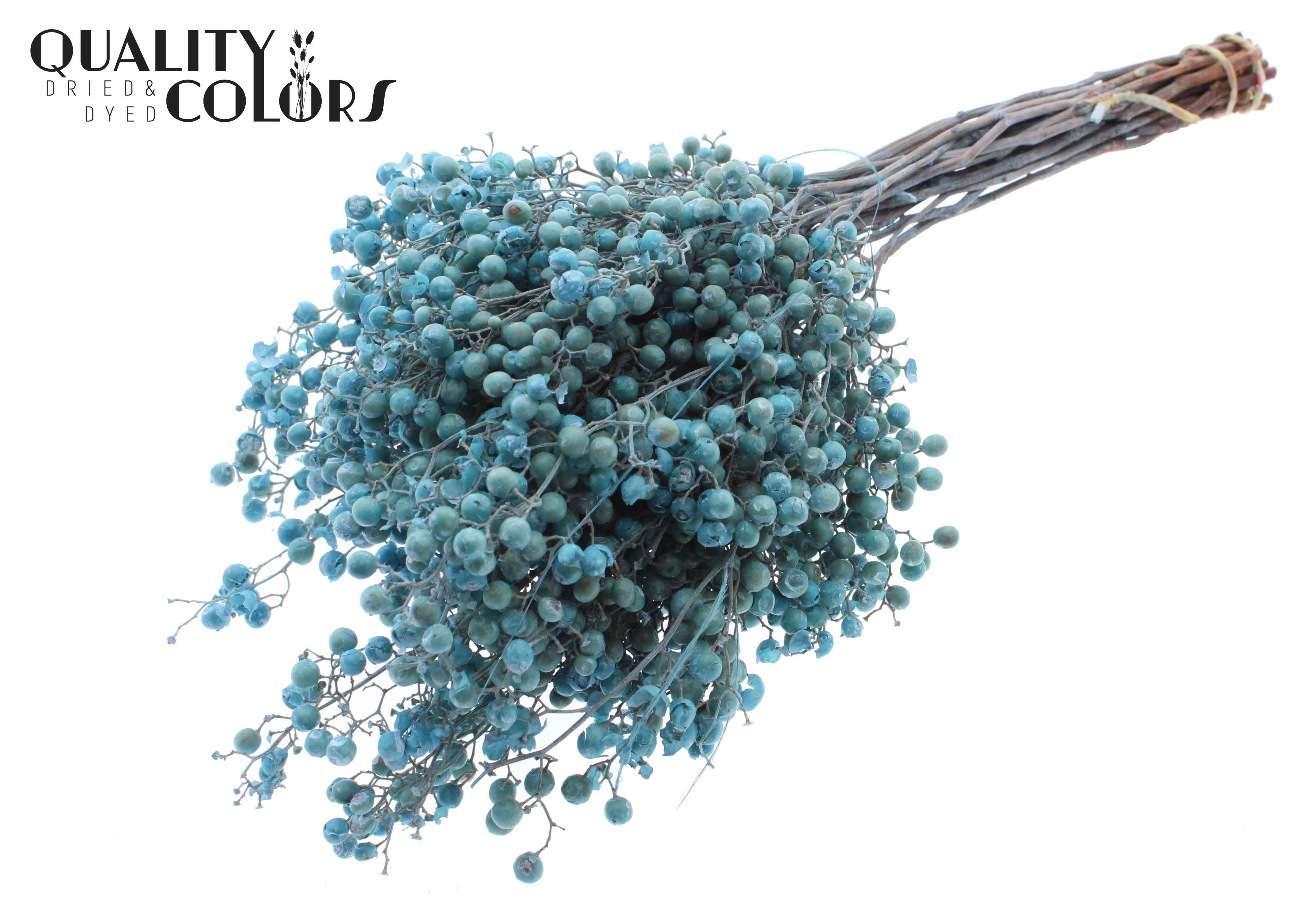 Срезанные цветы оптом Pepperberries per bunch in poly light blue от 5шт из Голландии с доставкой по России