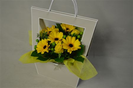 Срезанные цветы оптом Bouquet bag yellow от 4шт из Голландии с доставкой по России