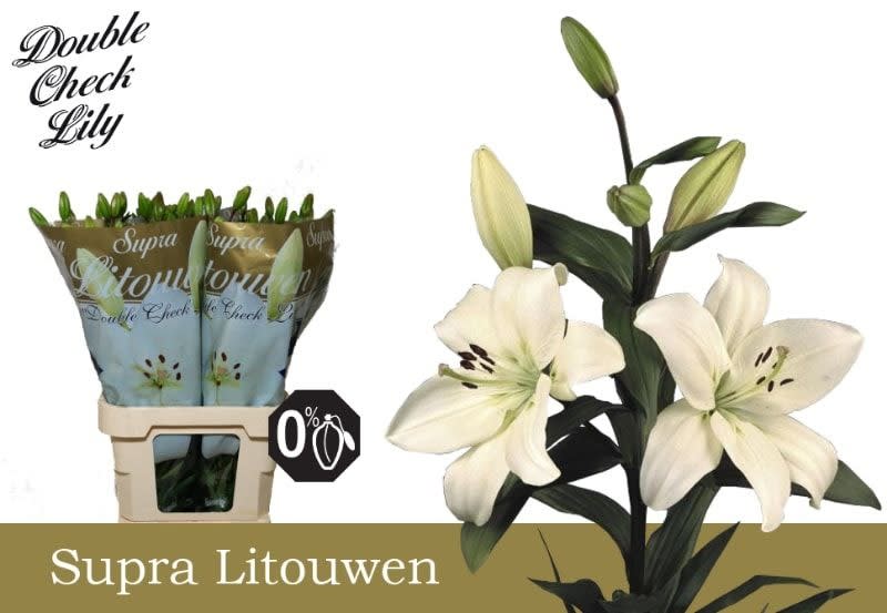 Срезанные цветы оптом Lilium la litouwen от 50шт из Голландии с доставкой по России