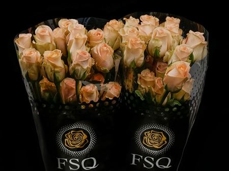 Срезанные цветы оптом Rosa ec tiffany от 40шт. из Голландии с доставкой по России