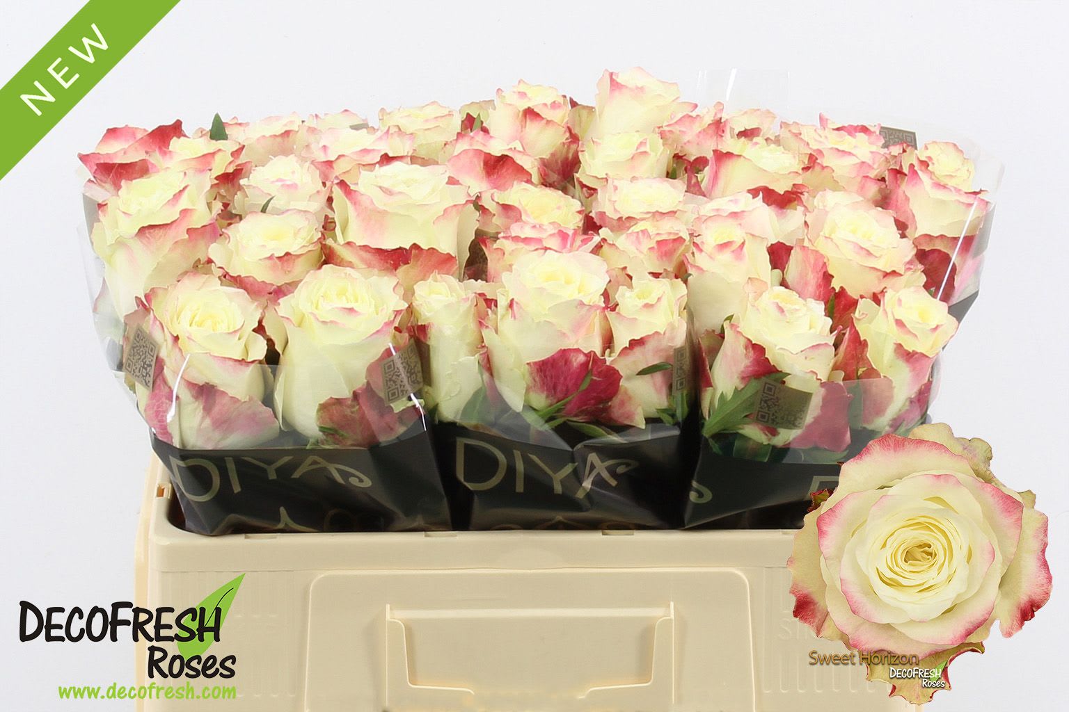 Срезанные цветы оптом Rosa large sweet horizon от 40шт из Голландии с доставкой по России
