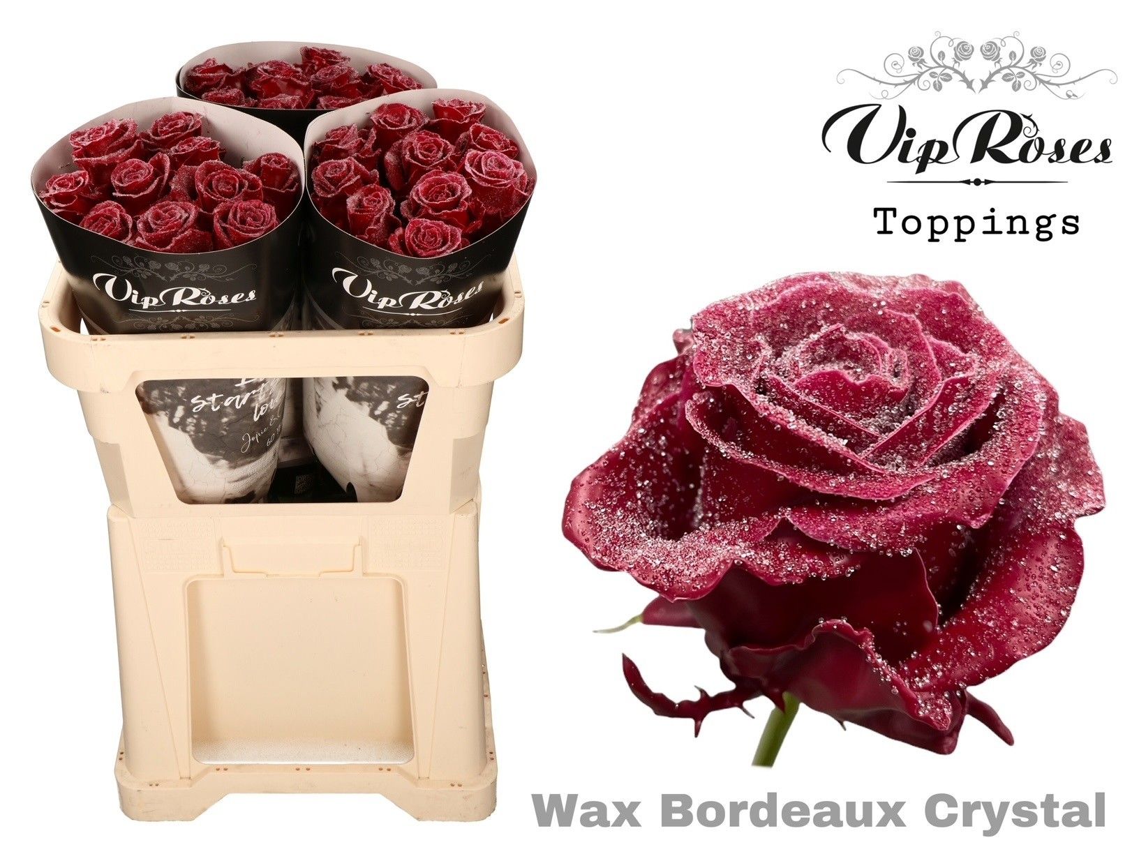 Срезанные цветы оптом Rosa la wax bordeaux crystal от 30шт. из Голландии с доставкой по России