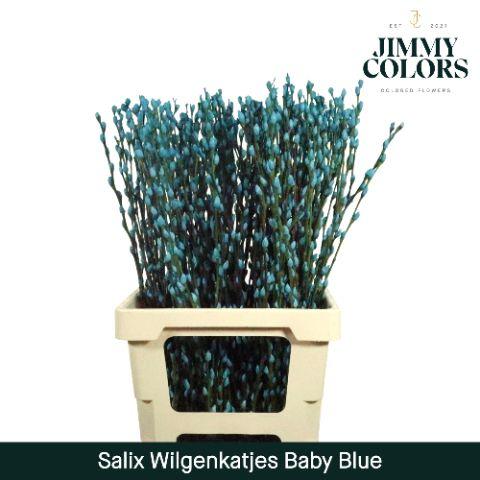 Срезанные цветы оптом Salix paint pussy willow blue light от 200шт из Голландии с доставкой по России