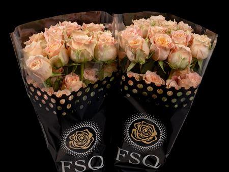 Срезанные цветы оптом Rosa ec country louise от 40шт из Голландии с доставкой по России