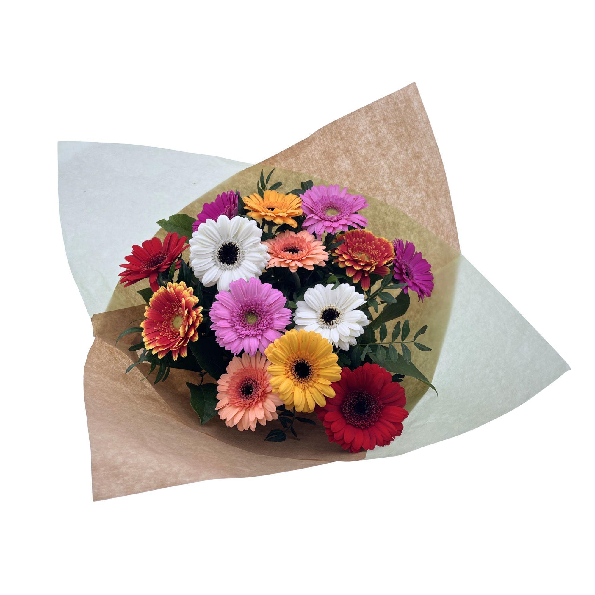 Срезанные цветы оптом BQ Germini medium Mixed от 2шт из Голландии с доставкой по России