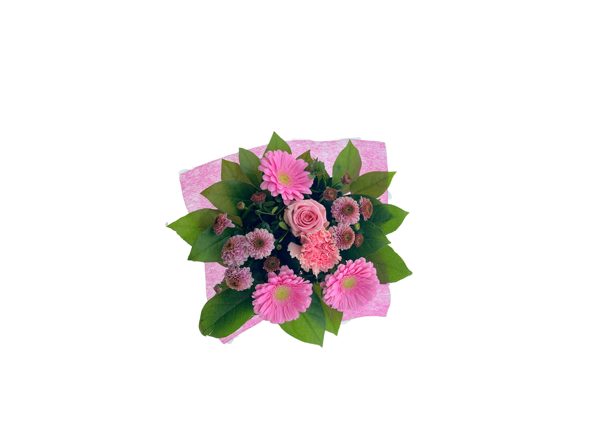 Срезанные цветы оптом BQ Shorties Pink от 6шт из Голландии с доставкой по России