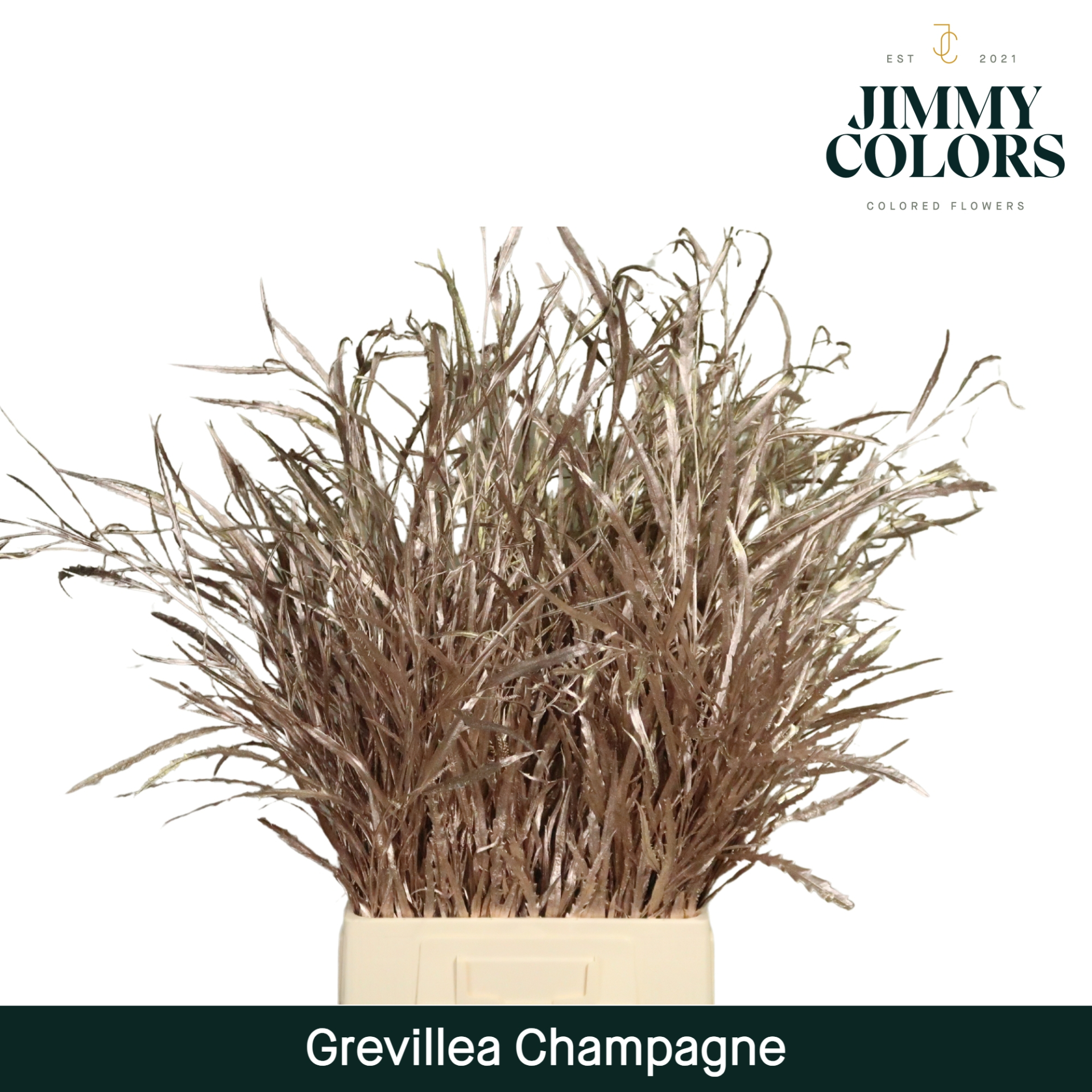 Срезанные цветы оптом Grevillea paint champagne от 10шт из Голландии с доставкой по России