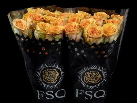 Срезанные цветы оптом Rosa ec tropic versilia от 40шт из Голландии с доставкой по России