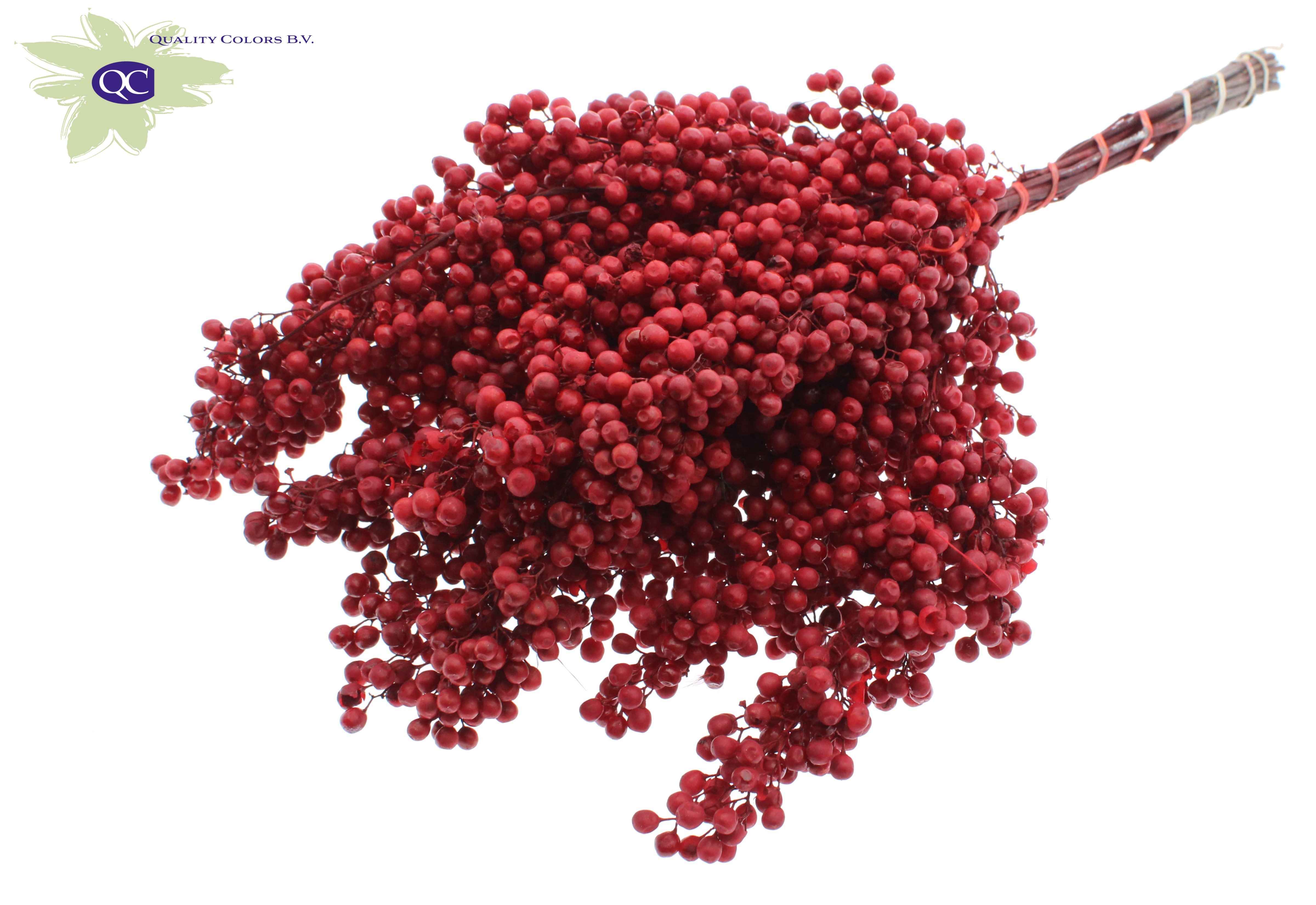 Срезанные цветы оптом Pepperberries per bunch in poly red от 5шт из Голландии с доставкой по России