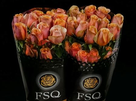 Срезанные цветы оптом Rosa ec golden mustard от 20шт из Голландии с доставкой по России