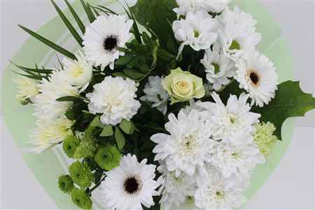Срезанные цветы оптом Bouquet st white 3 от 8шт из Голландии с доставкой по России