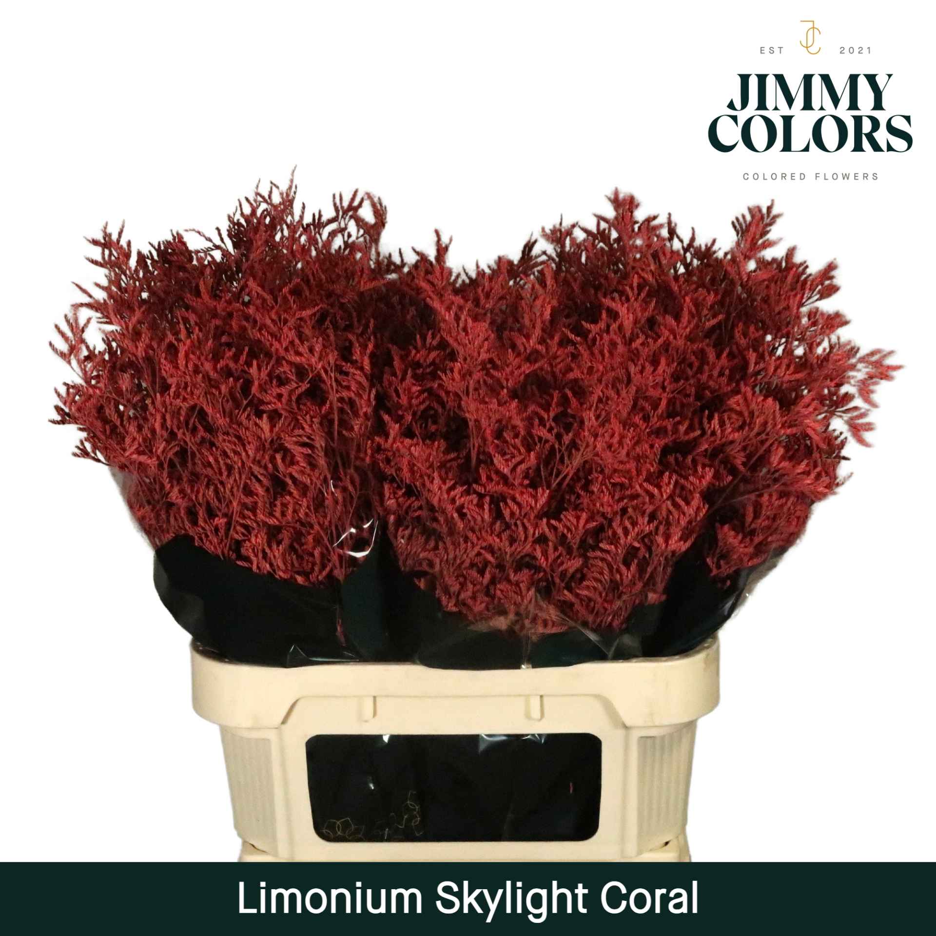 Срезанные цветы оптом Limonium paint coral от 75шт из Голландии с доставкой по России