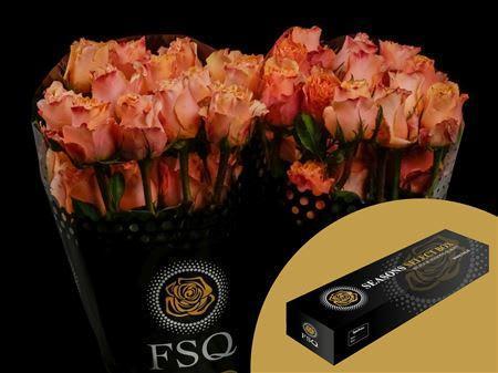 Срезанные цветы оптом Rosa ec carpe diem от 50шт из Голландии с доставкой по России