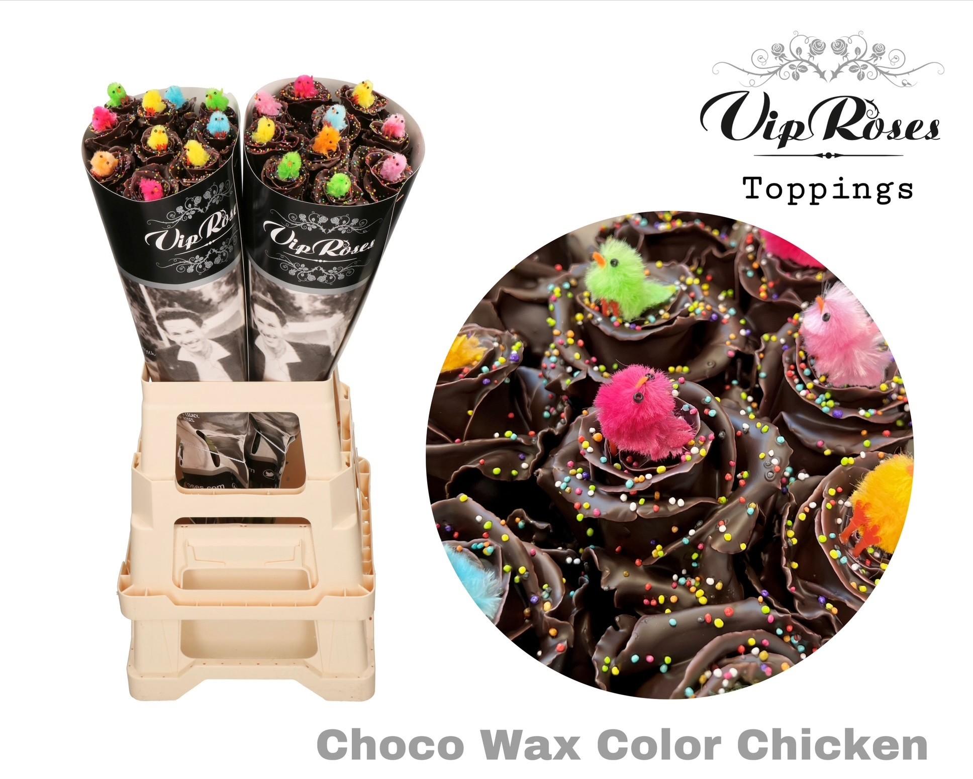 Срезанные цветы оптом Rosa large paint choco color chicken от 20шт из Голландии с доставкой по России