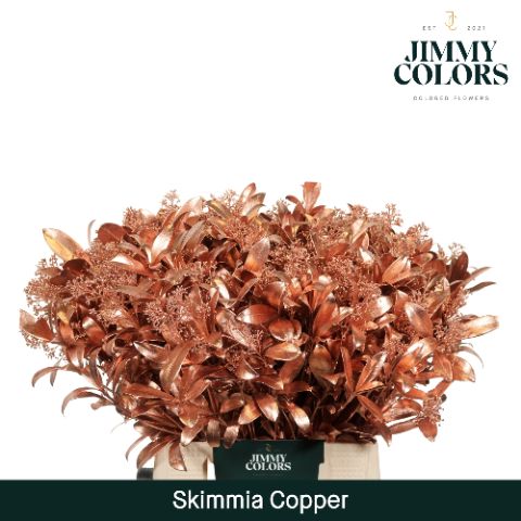 Срезанные цветы оптом Skimmia paint copper + glitter от 10шт из Голландии с доставкой по России