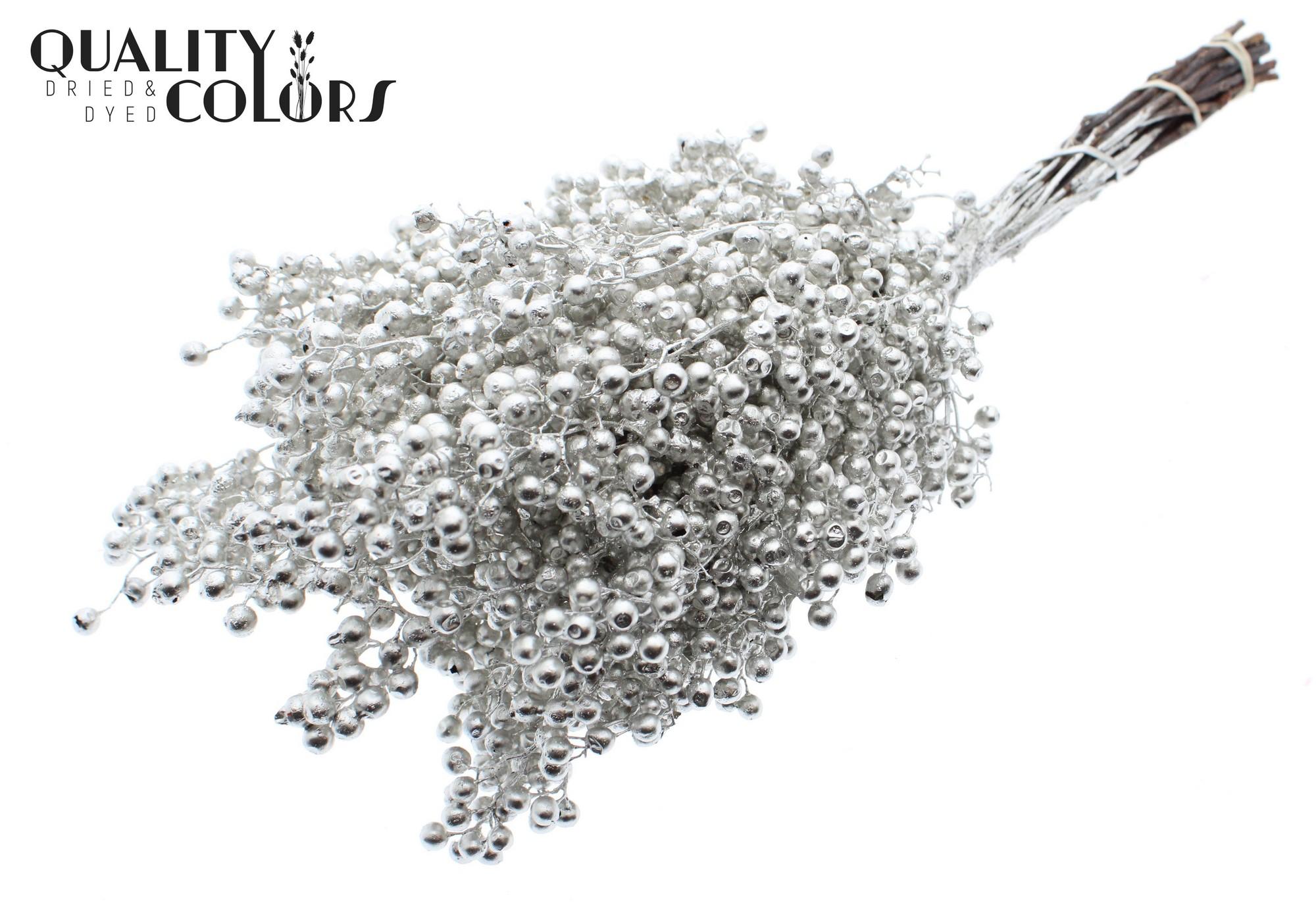 Срезанные цветы оптом Pepperberries per bunch in poly Platina от 5шт из Голландии с доставкой по России