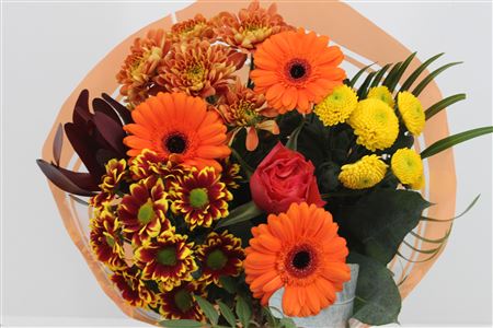 Срезанные цветы оптом Bouquet promo orange от 5шт из Голландии с доставкой по России