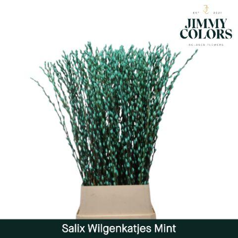 Срезанные цветы оптом Salix paint pussy willow mint green от 100шт из Голландии с доставкой по России