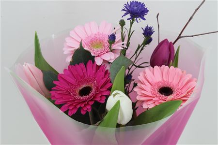 Срезанные цветы оптом Boeket Voorjaar (rs Cer W)) от 10шт из Голландии с доставкой по России