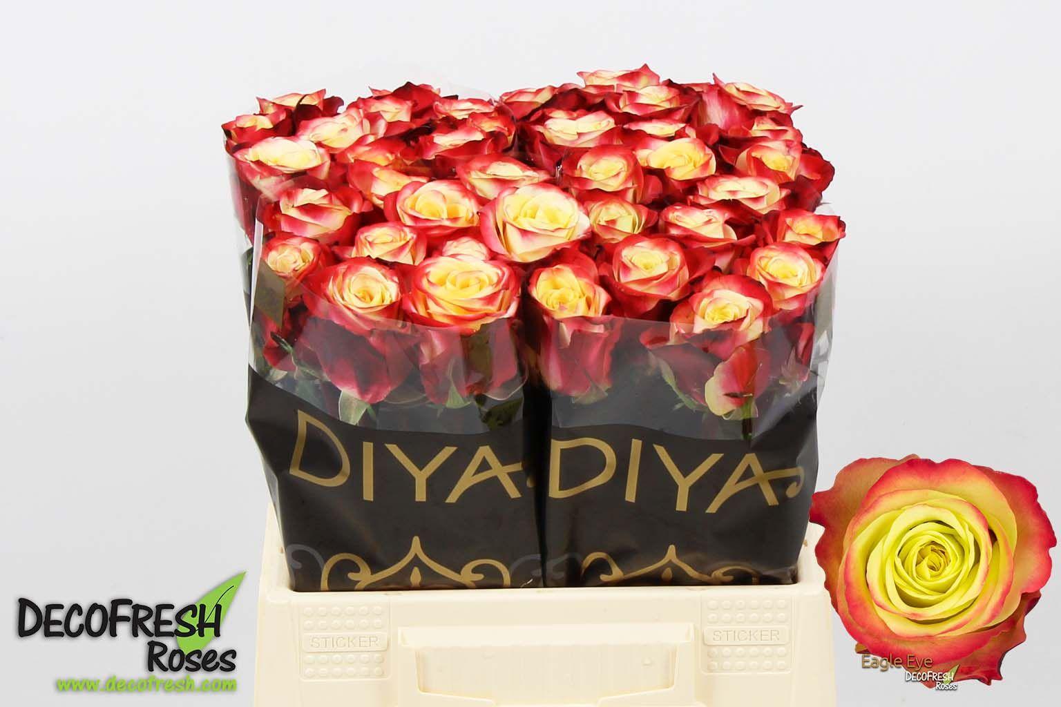 Срезанные цветы оптом Rosa large eagle eye+ от 40шт из Голландии с доставкой по России