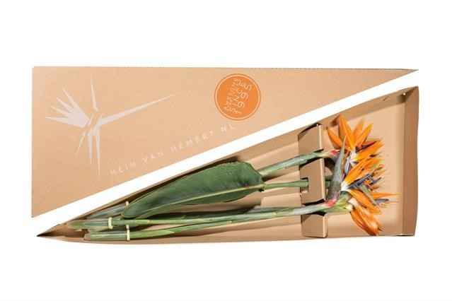 Срезанные цветы оптом Strelitzia triangle box от 6шт из Голландии с доставкой по России