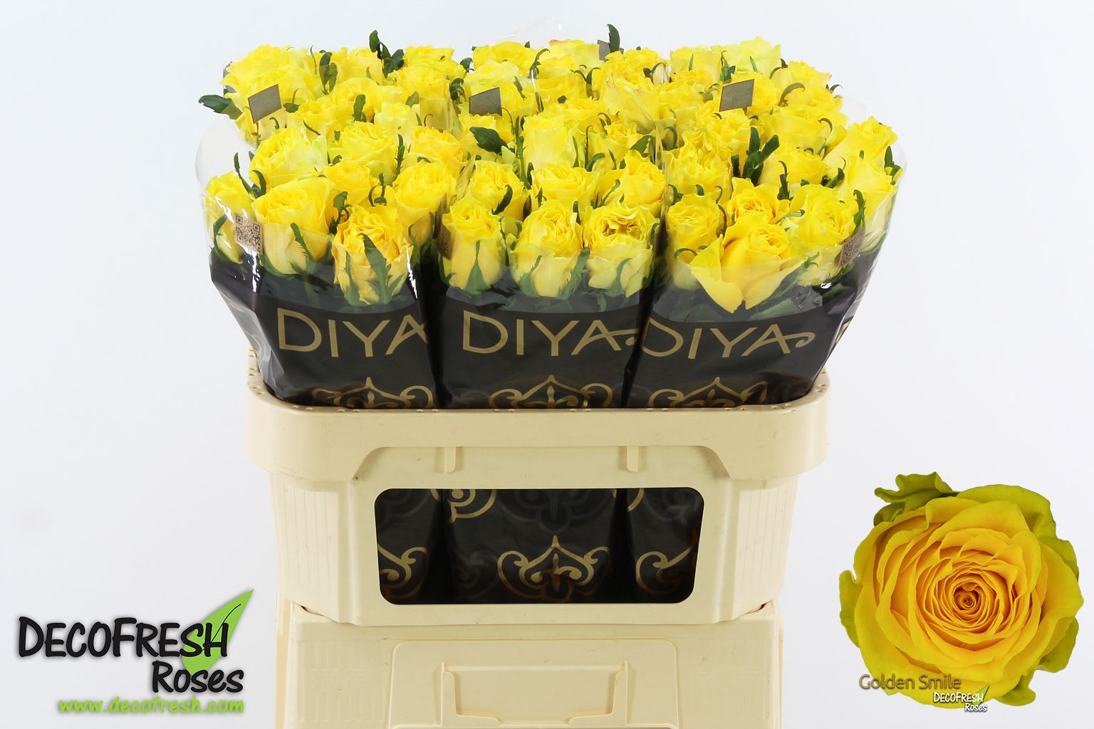 Срезанные цветы оптом Rosa large golden smile от 50шт из Голландии с доставкой по России
