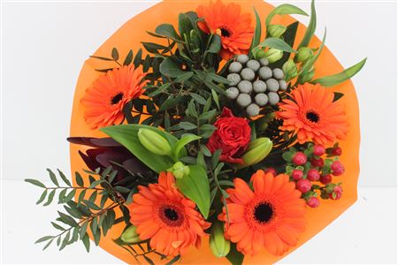 Срезанные цветы оптом Bouquet luna orange от 3шт из Голландии с доставкой по России