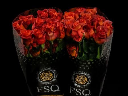 Срезанные цветы оптом Rosa ec coffee break от 40шт из Голландии с доставкой по России